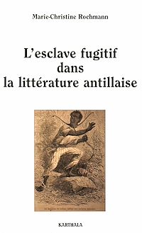 Télécharger le livre :  L’esclave fugitif dans la littérature antillaise