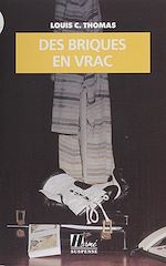 Download this eBook Des briques en vrac