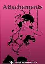 Download this eBook Attachements