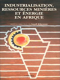Télécharger le livre :  Industrialisation, ressources minières et énergie en Afrique