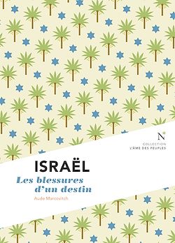 Télécharger le livre :  Israël : Les blessures d'un destin