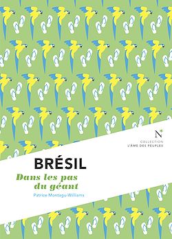 Télécharger le livre :  Brésil : Dans les pas du géant