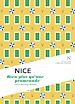 Télécharger le livre :  Nice : Bien plus qu'une promenade