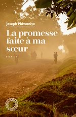 Télécharger le livre :  La promesse faite à ma soeur