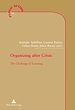 Télécharger le livre :  Organizing after Crisis