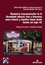Download this eBook Dinámicas transnacionales de la diversidad cultural: cine y literatura entre Francia y América latina desde finales del siglo XX
