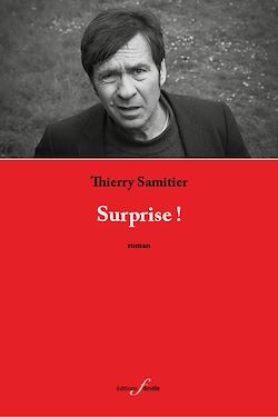 Télécharger le livre :  Surprise !