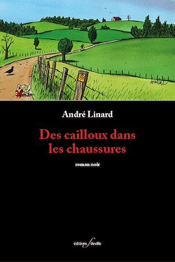 Télécharger le livre :  Des cailloux dans les chaussures