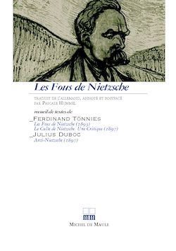 Télécharger le livre :  Les Fous de Nietzsche. Le Culte de Nietzsche, Anti-Nietzsche