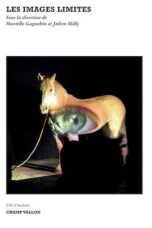 Téléchargez le livre :  Les images limites