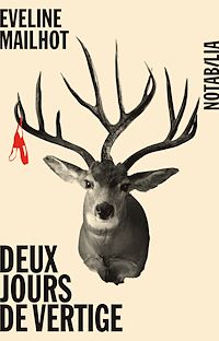 Téléchargez le livre :  Deux jours de vertige