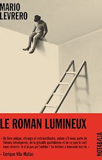 Téléchargez le livre :  Le roman lumineux