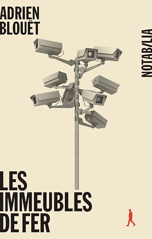 Téléchargez le livre :  Les immeubles de fer