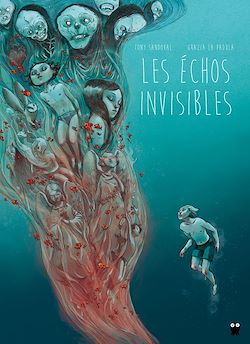 Télécharger le livre :  Les échos invisibles