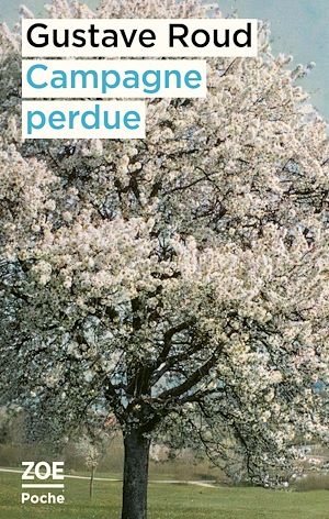 Téléchargez le livre :  Campagne perdue