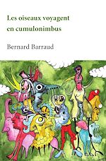 Download this eBook Les oiseaux voyagent en cumulonimbus