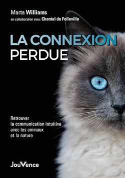 Télécharger le livre :  La connexion perdue