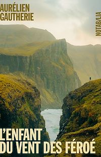 Téléchargez le livre :  L'enfant du vent des Féroé