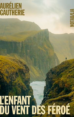 Téléchargez le livre :  L'enfant du vent des Féroé
