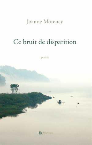 Téléchargez le livre :  Ce bruit de disparition