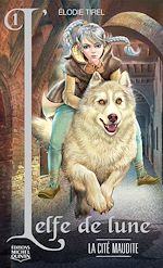 Télécharger le livre :  La cité maudite