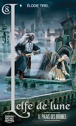 Télécharger le livre :  Le palais des Brumes