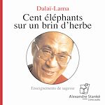 Télécharger le livre :  Cent éléphants sur un brin d'herbe