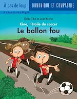 Télécharger le livre :  Le ballon fou - Niveau de lecture 3