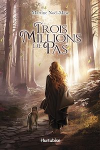 Téléchargez le livre :  Trois millions de pas