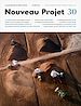 Télécharger le livre :  Nouveau Projet 30