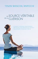 Download this eBook La source véritable de la guérison