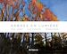 Télécharger le livre :  Arbres en lumière