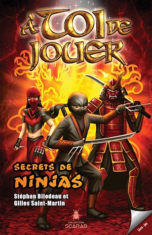 Téléchargez le livre :  Secrets de ninjas