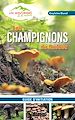 Télécharger le livre :  Les champignons du Québec: Guide d'initiation