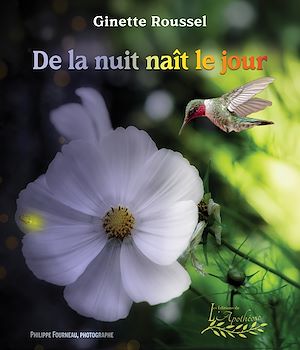 Téléchargez le livre :  De la nuit nait le jour