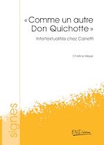 Télécharger le livre :  « Comme un autre Don Quichotte »