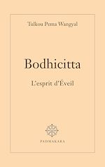 Télécharger le livre :  Bodhicitta