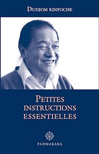 Téléchargez le livre :  Petites instructions essentielles
