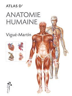 Télécharger le livre :  Atlas d'anatomie humaine
