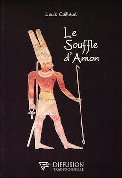 Télécharger le livre :  Le Souffle d'Amon