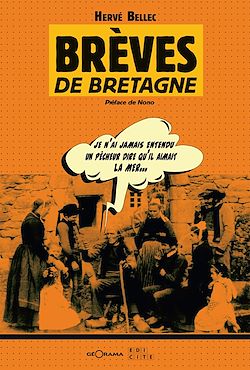 Télécharger le livre :  Brèves de Bretagne