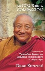 Télécharger le livre :  Au coeur de la compassion