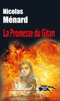 Télécharger le livre : La Promesse du gitan