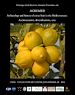 Télécharger le livre :  AGRUMED: Archaeology and history of citrus fruit in the Mediterranean