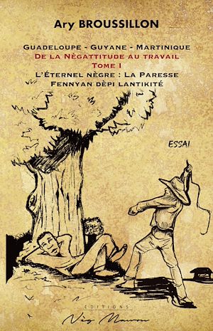 Téléchargez le livre :  De la Nègattitude au travail (Tome 1)