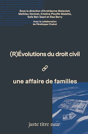 Téléchargez le livre :  (R)Évolutions du droit civil: une affaire de familles