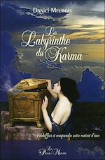 Télécharger le livre :  Le Labyrinthe du Karma - Déchiffrer et comprendre notre contrat d'âme