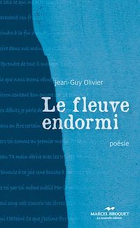 Téléchargez le livre :  Le fleuve endormi