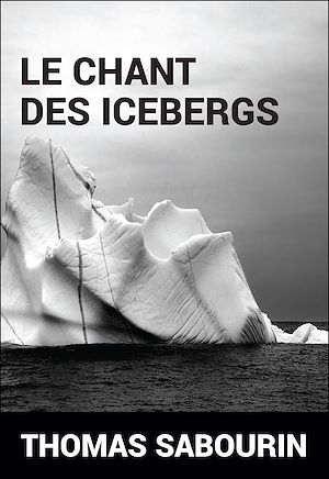 Téléchargez le livre :  Le chant des icebergs
