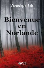 Télécharger le livre :  Bienvenue en Norlande